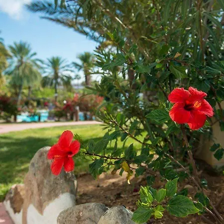 Hotel Miraflor Playa del Inglés